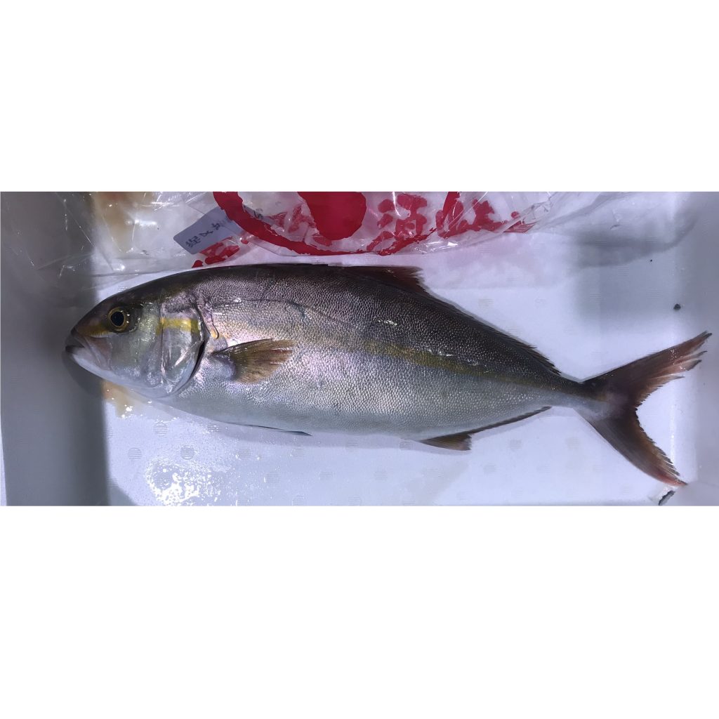 カンパチ 株式会社 埼玉県魚市場